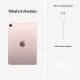 Apple iPad mini 6th Generation (Wi-Fi, 256GB) - Pink