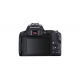 Canon EOS 250D Body - Black