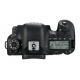 Canon EOS 6D Mark II + 24-105 II Kit