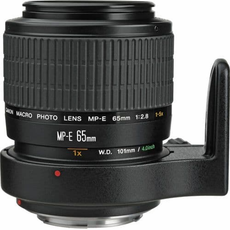 Canon MP-E 65mm f/2.8 1-5x Macro Lens