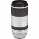 Canon RF 100-500mm F4.5-7.1L IS USM Lens